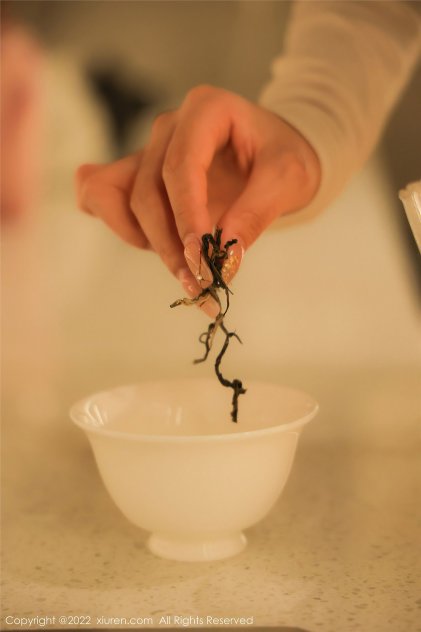 妇女bbbb插插插视频海报